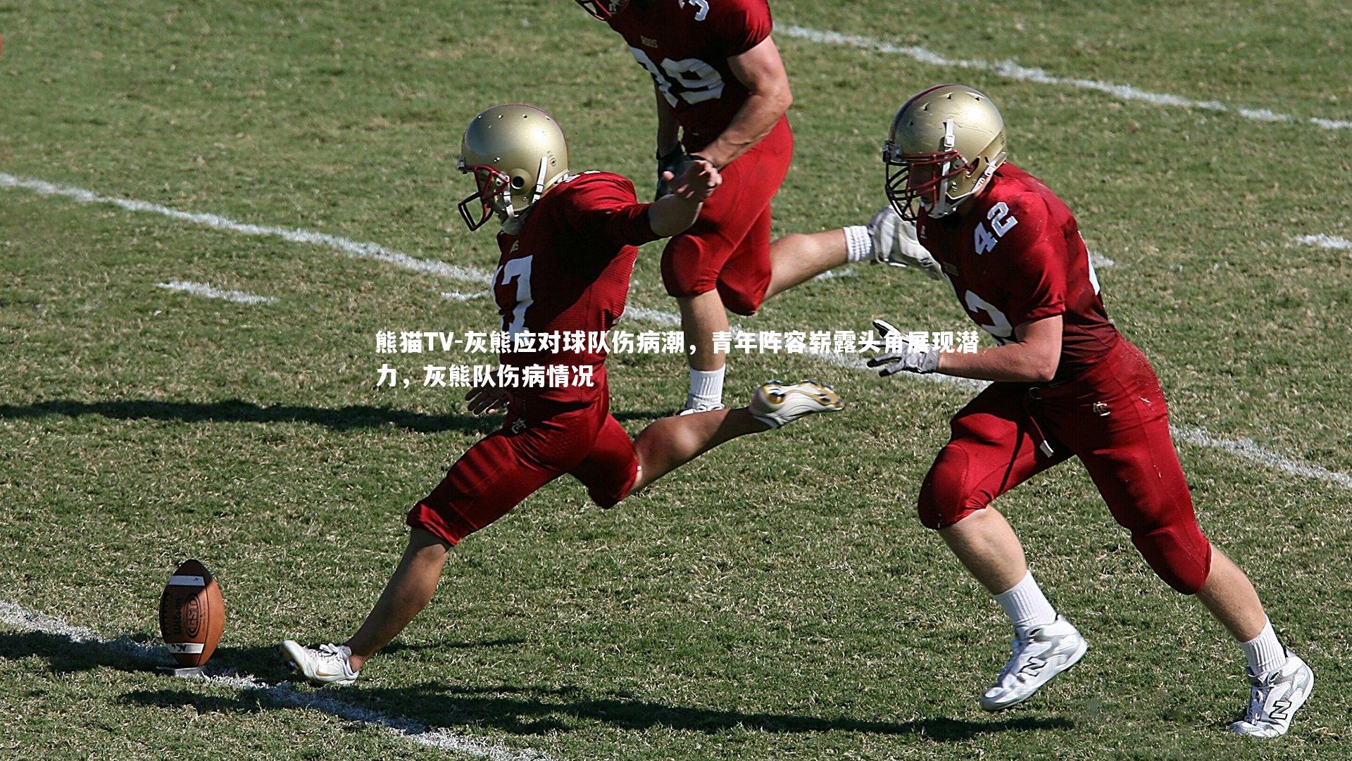 灰熊应对球队伤病潮，青年阵容崭露头角展现潜力，灰熊队伤病情况