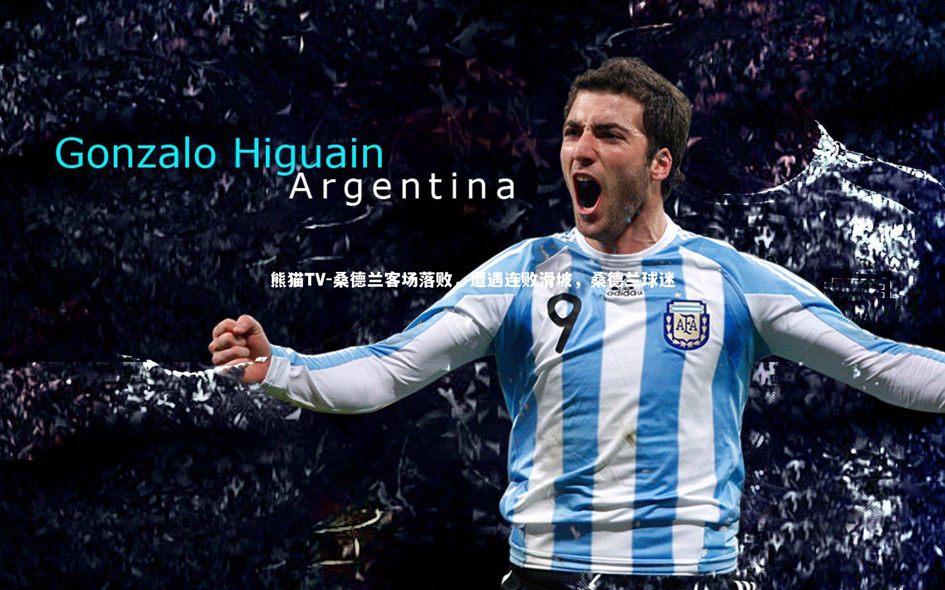 桑德兰客场落败，遭遇连败滑坡，桑德兰球迷