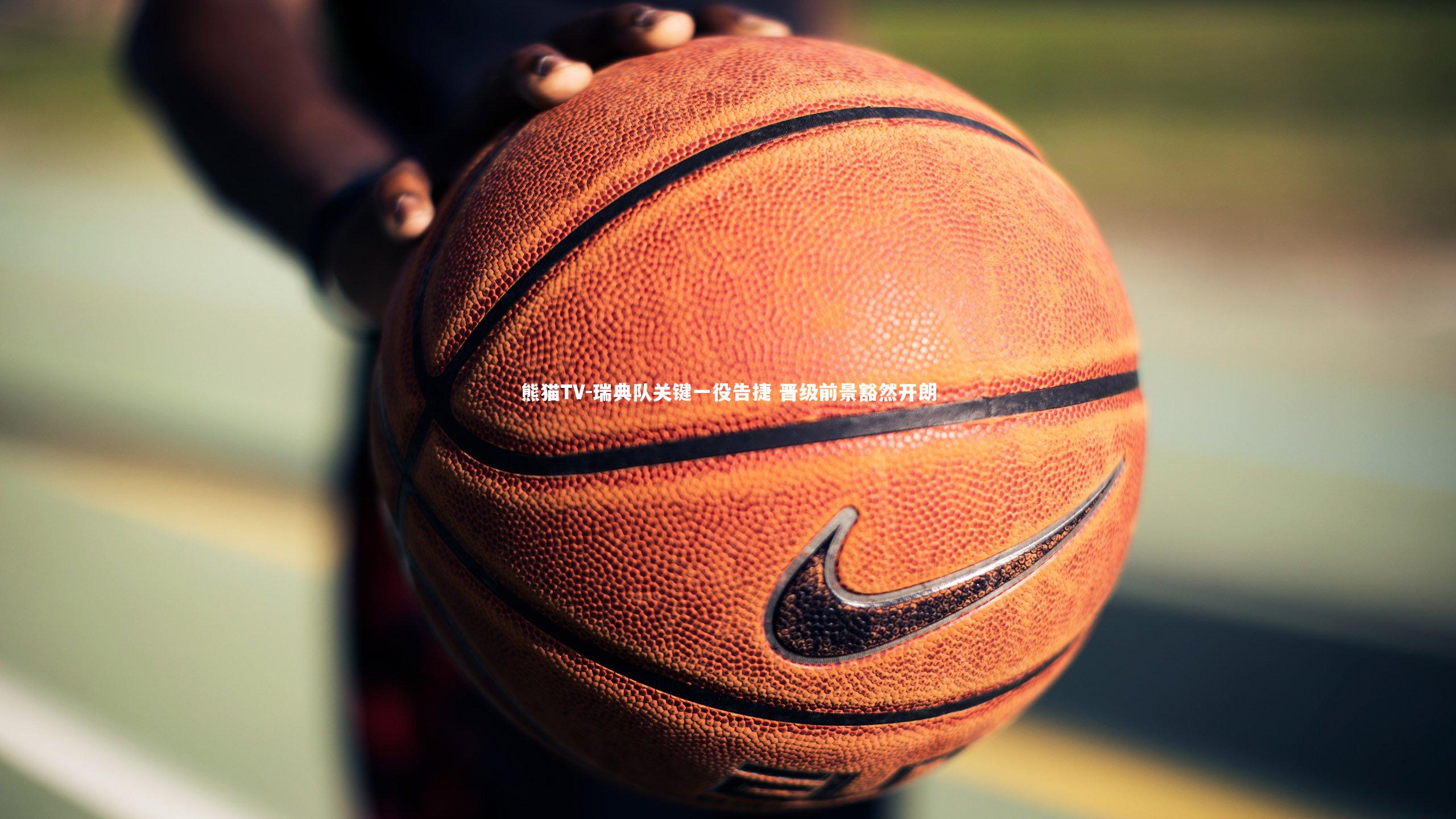 瑞典队关键一役告捷 晋级前景豁然开朗