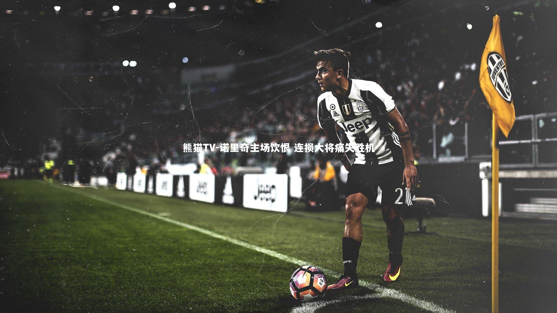 诺里奇主场饮恨 连损大将痛失胜机