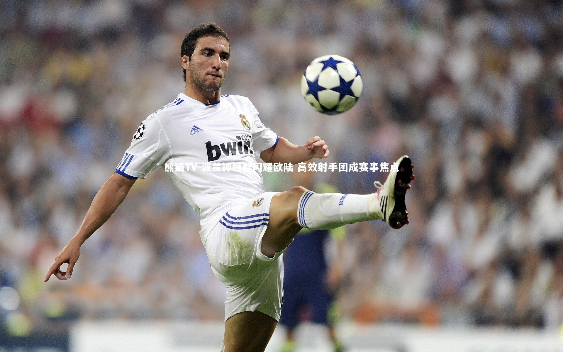 波兰神锋群闪耀欧陆 高效射手团成赛事焦点